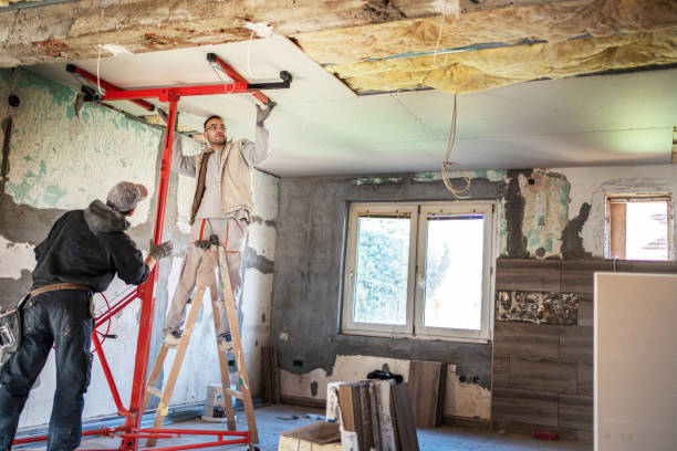 Best Eco-Friendly Insulation in Pleasant Hills, MD